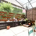 Alexiz Hostel